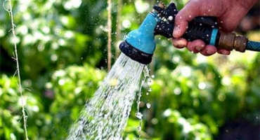 Proč listy okurek ve skleníku žloutnou a co dělat